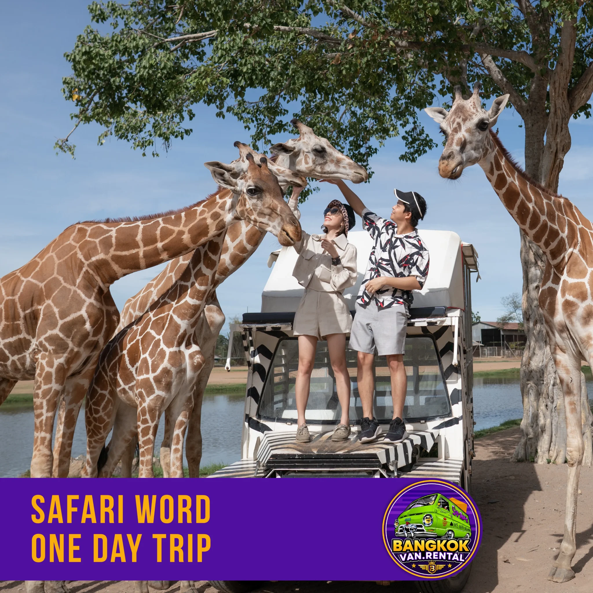Safari Word One Day Trip